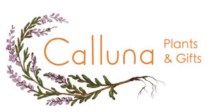 Calluna Plants and Gifts